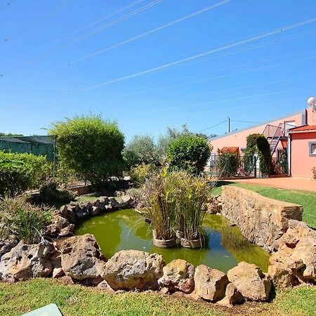 At-tunis Villa Tunes